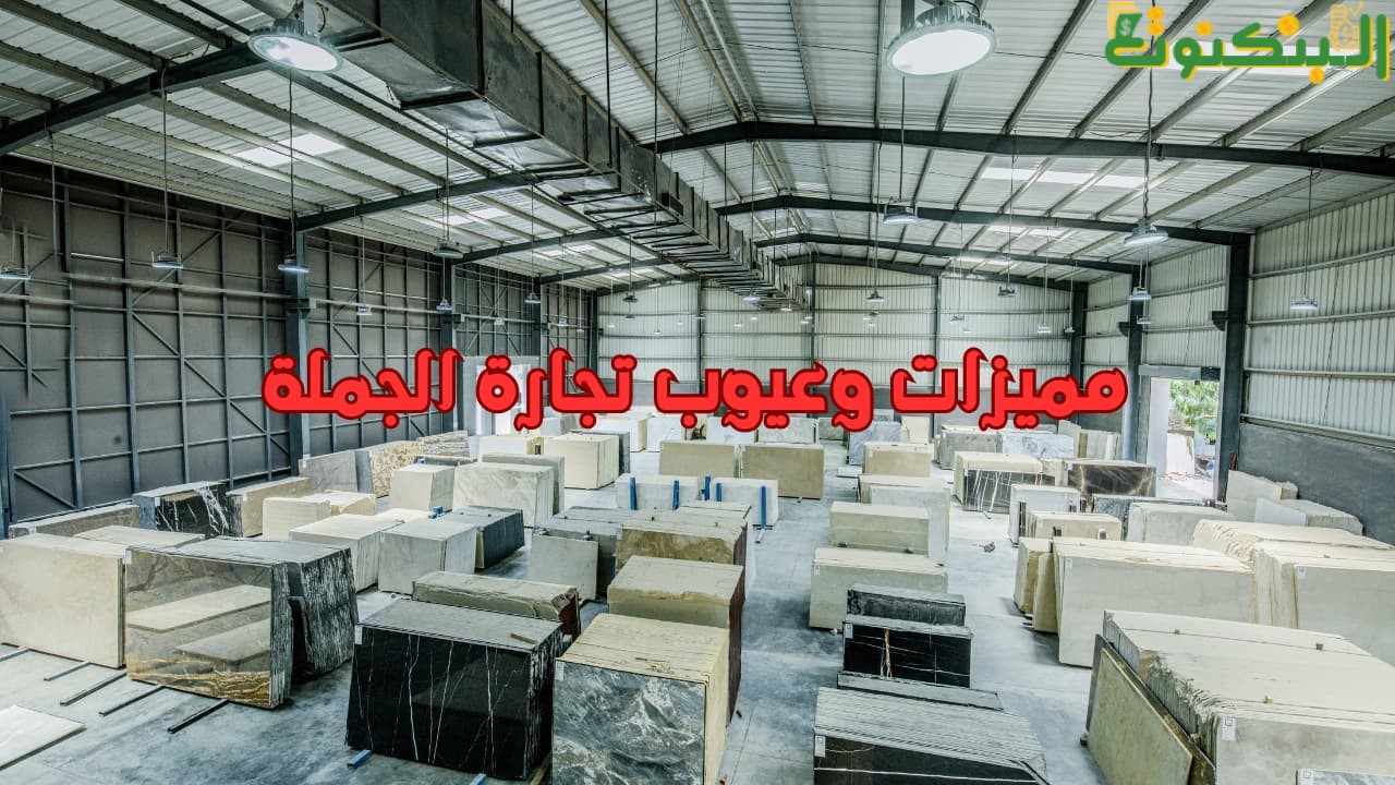 مميزات وعيوب تجارة الجملة