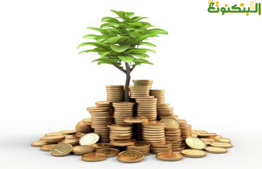 الأرباح المتوقعة من مشروع المسبح