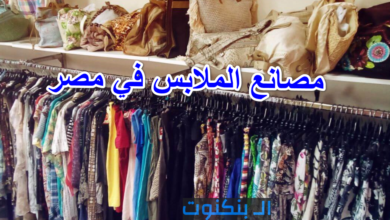 مصانع الملابس في مصر