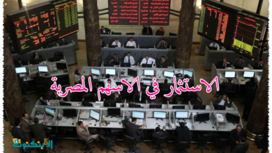 الاستثمار في الاسهم المصرية