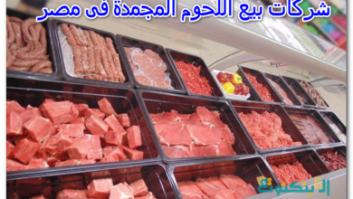 شركات بيع اللحوم المجمدة فى مصر
