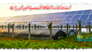 استخدامات الطاقة الشمسية في الزراعة