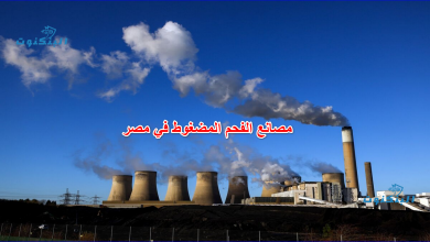 مصانع الفحم المضغوط في مصر