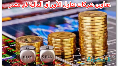عناوين شركات تداول الأوراق المالية في مصر