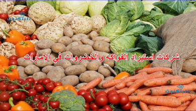 شركات استيراد الفواكه والخضروات في الإمارات
