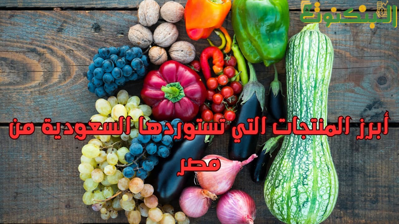 أبرز المنتجات التي تستوردها السعودية من مصر