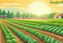 مشروع مزرعة خضار في السعودية