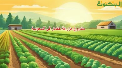 مشروع مزرعة خضار في السعودية