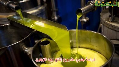 دراسة جدوى مشروع إنتاج زيت الزيتون