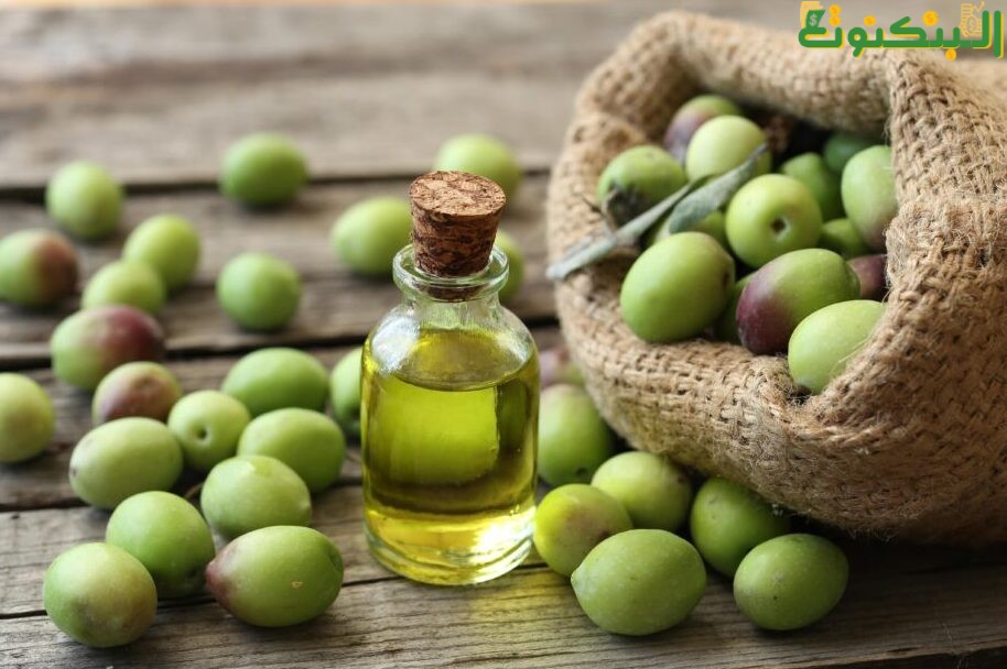 أرباح مشروع إنتاج زيت الزيتون